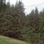 phoca_thumb_m_vp 2.den 223 Fotogalerie